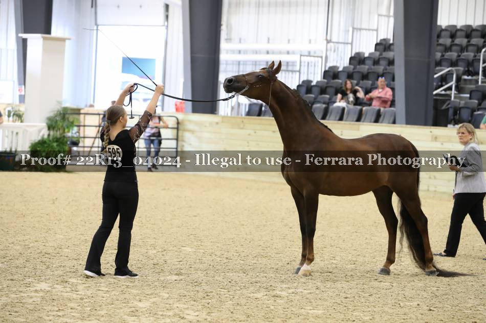 Proof 22R13_04024