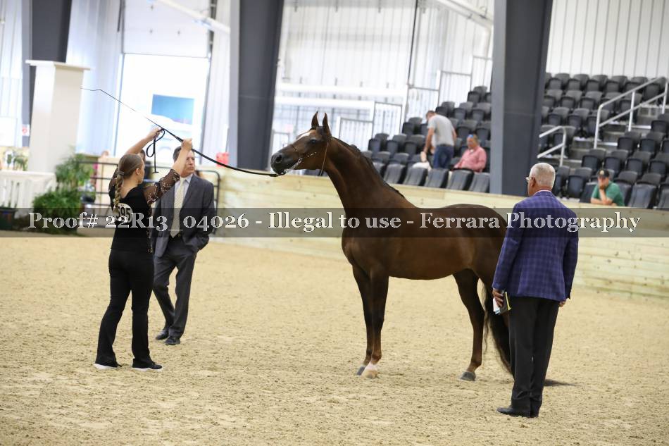 Proof 22R13_04026