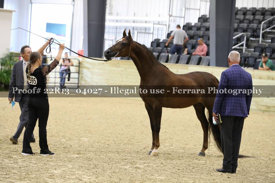 Proof 22R13_04027