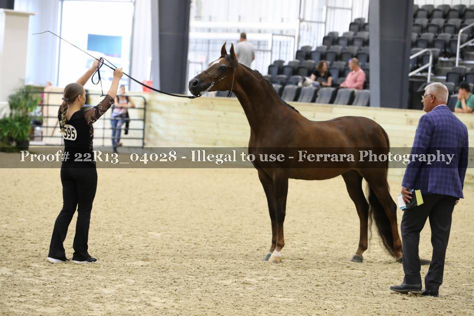 Proof 22R13_04028