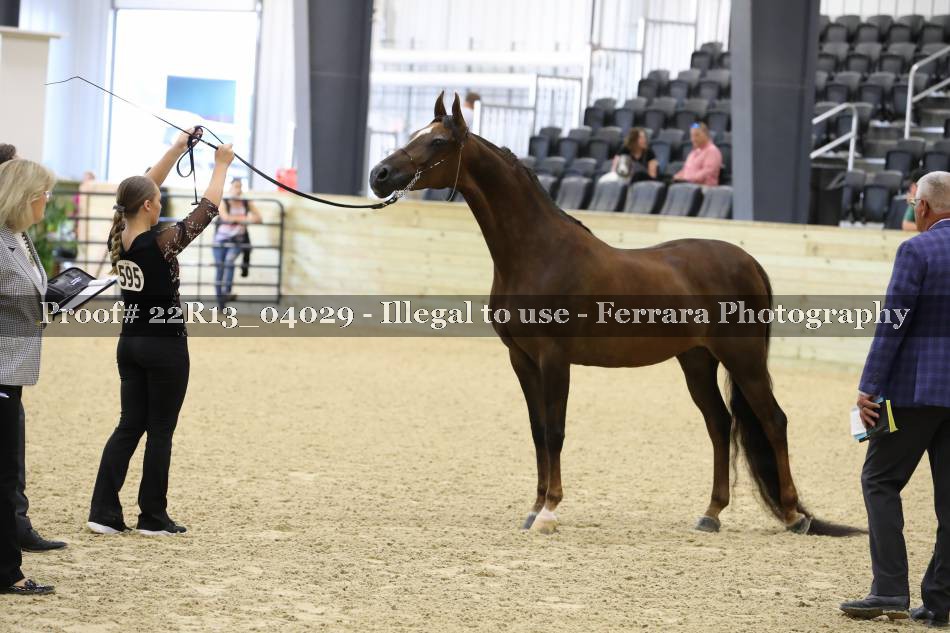 Proof 22R13_04029