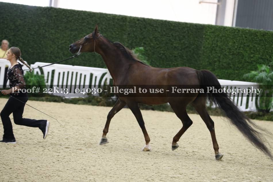 Proof 22R13_04030