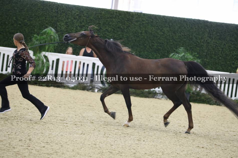 Proof 22R13_04031