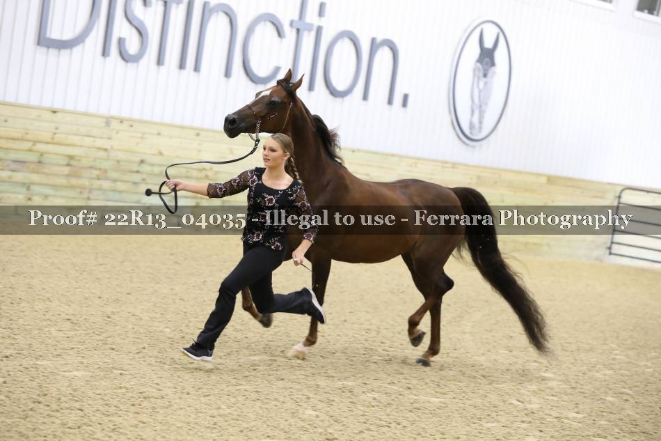 Proof 22R13_04035