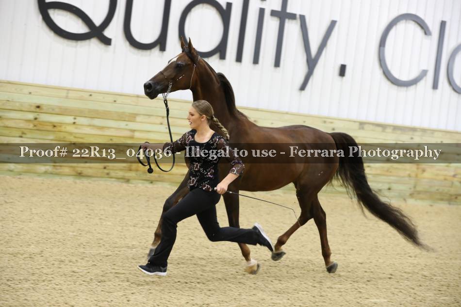 Proof 22R13_04036