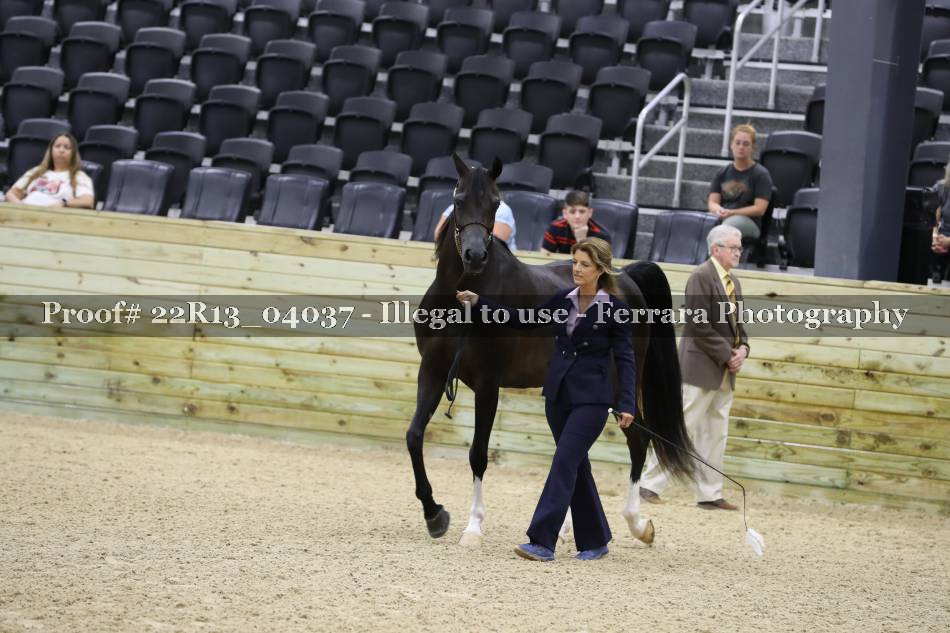 Proof 22R13_04037