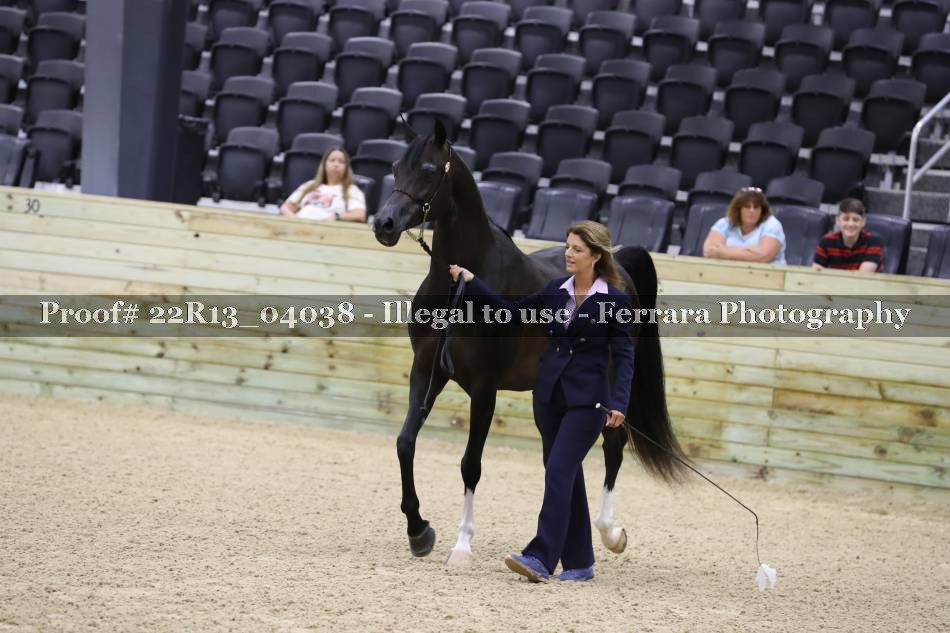 Proof 22R13_04038