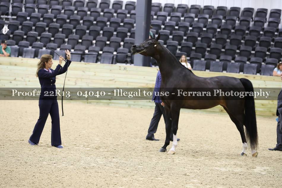 Proof 22R13_04040