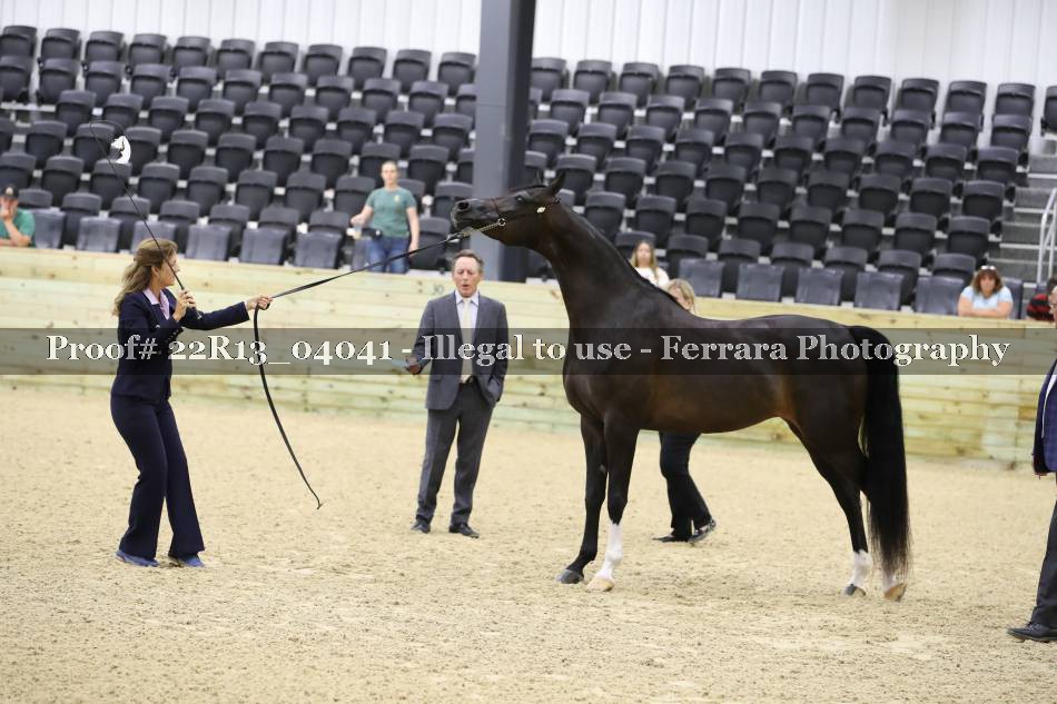 Proof 22R13_04041