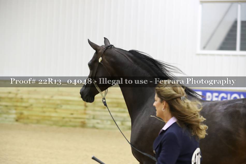 Proof 22R13_04048