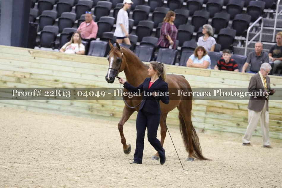 Proof 22R13_04049