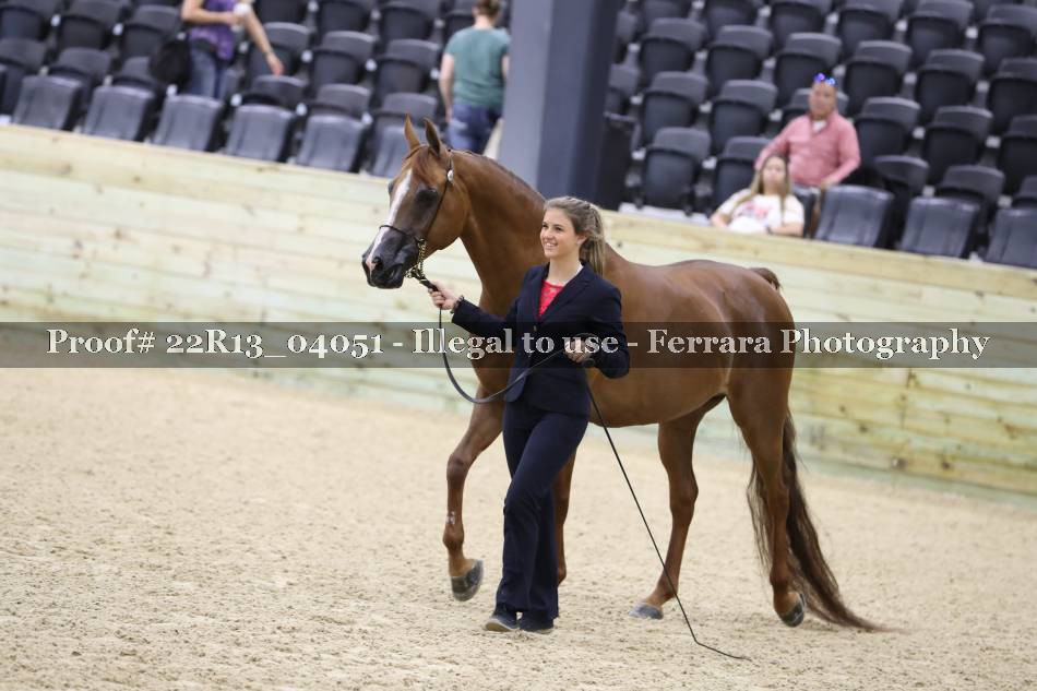 Proof 22R13_04051