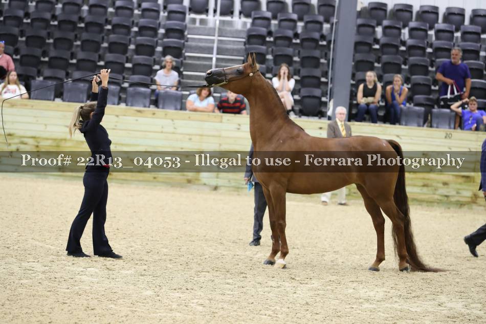 Proof 22R13_04053