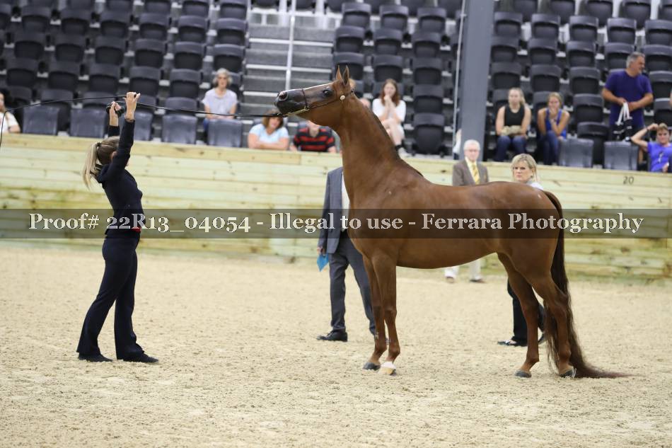 Proof 22R13_04054
