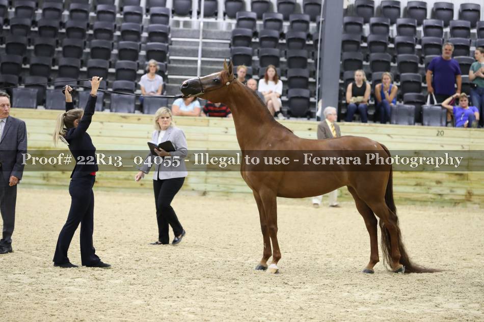 Proof 22R13_04055