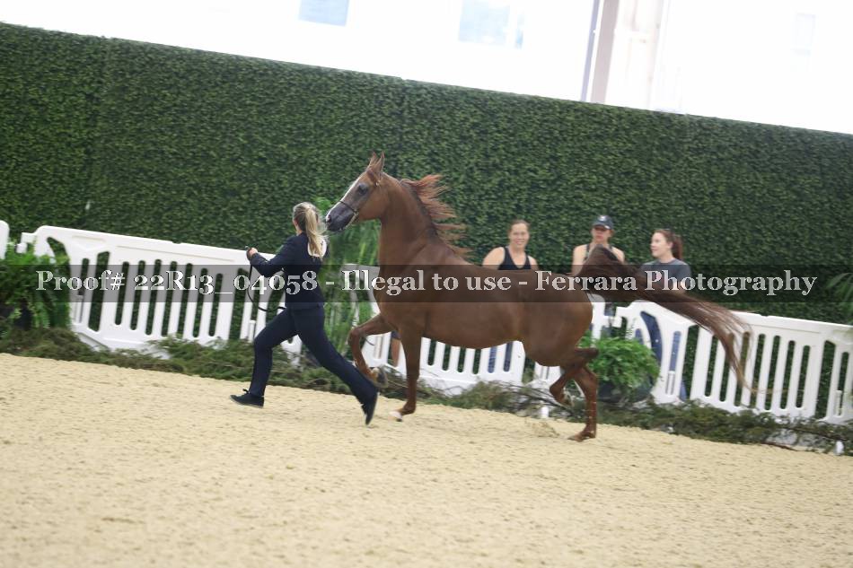 Proof 22R13_04058