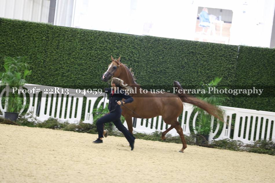 Proof 22R13_04059
