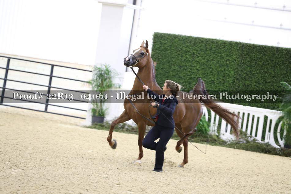 Proof 22R13_04061