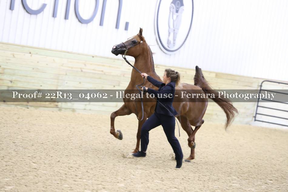 Proof 22R13_04062