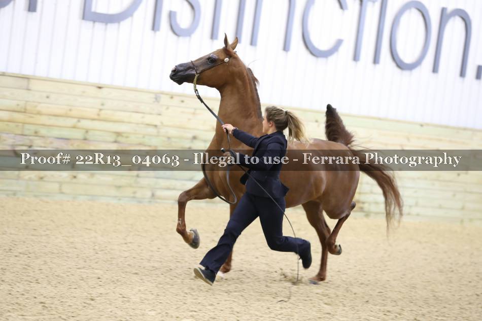 Proof 22R13_04063