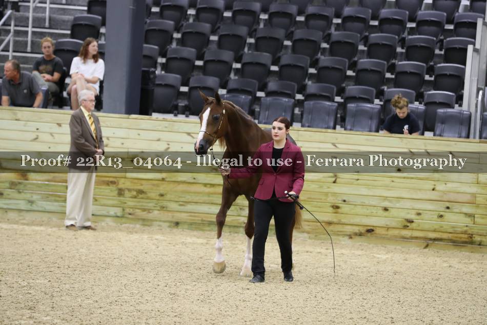 Proof 22R13_04064