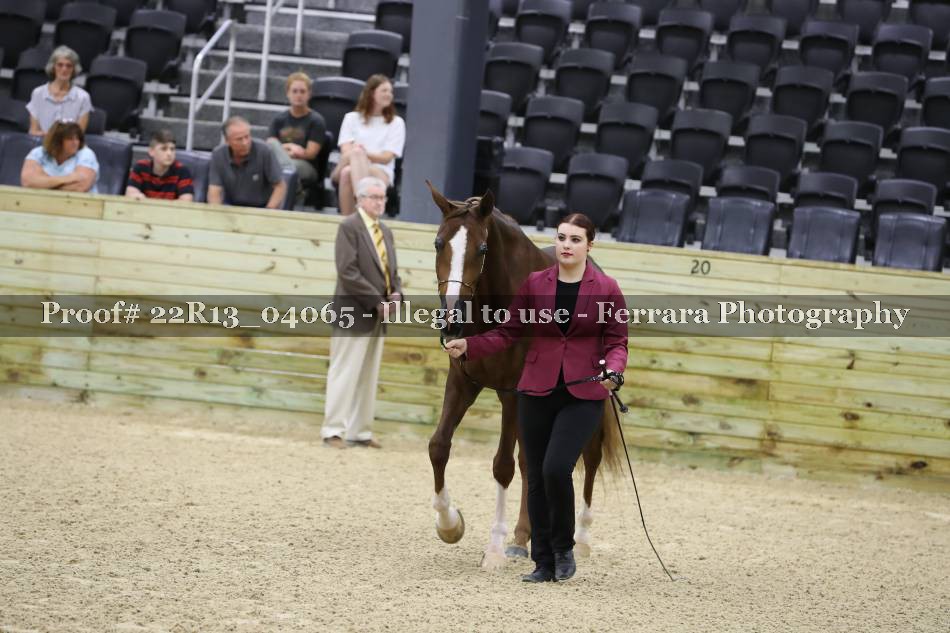 Proof 22R13_04065