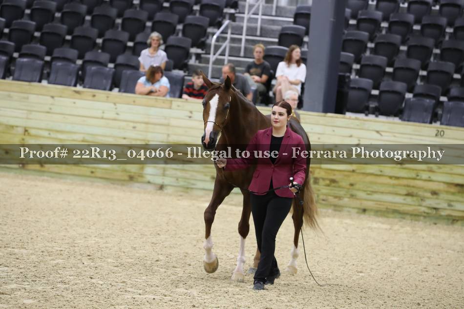 Proof 22R13_04066