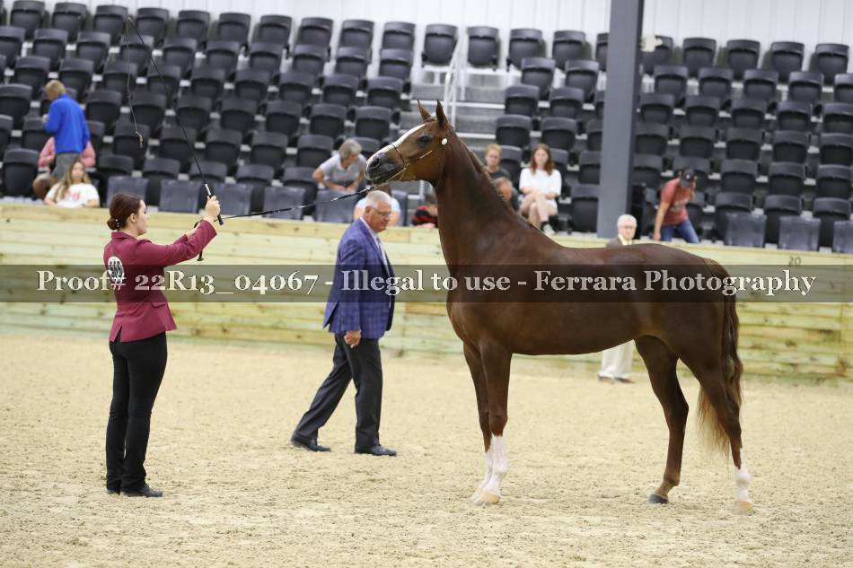 Proof 22R13_04067