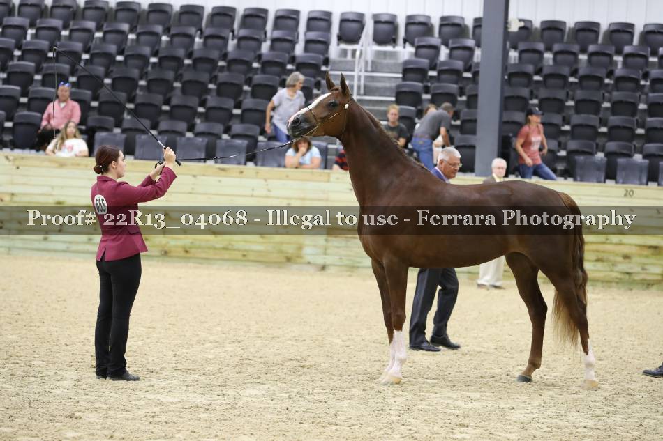 Proof 22R13_04068
