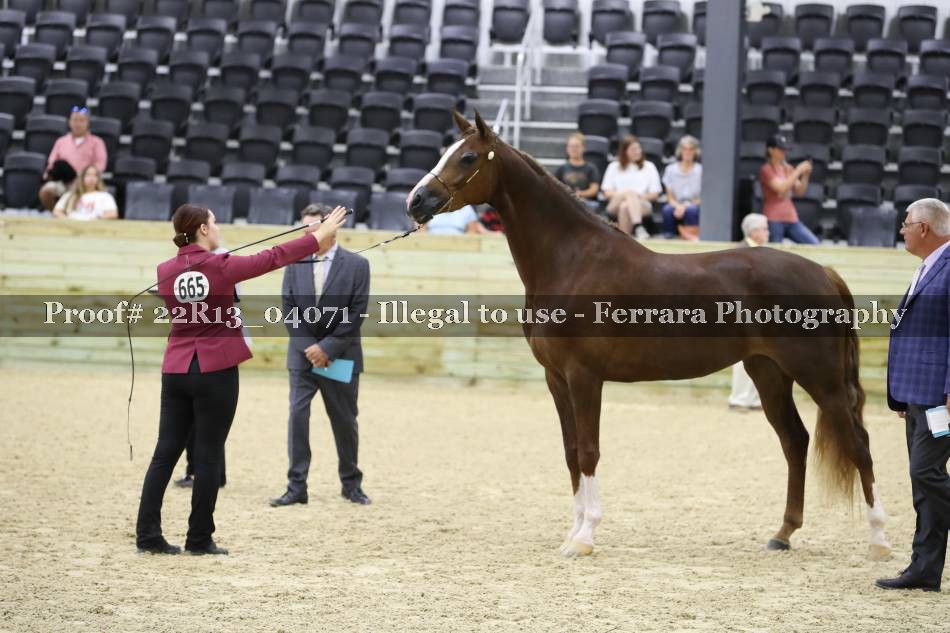 Proof 22R13_04071