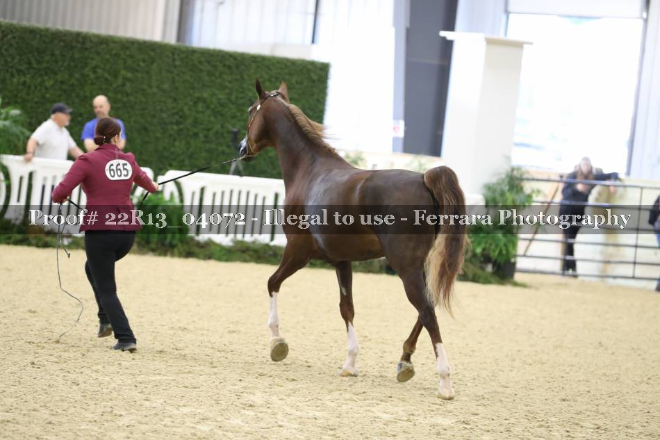 Proof 22R13_04072