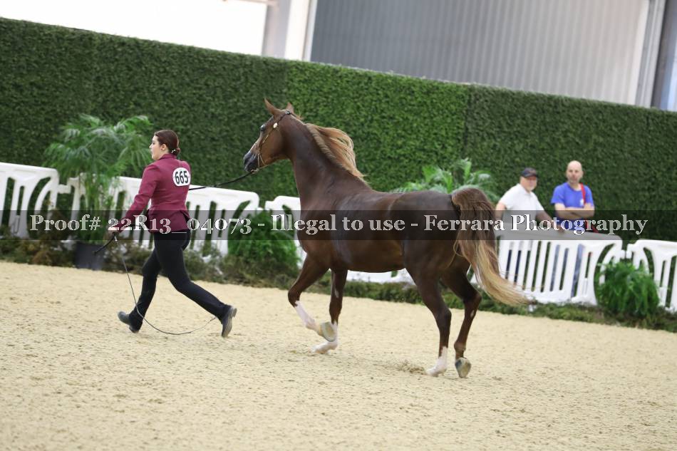 Proof 22R13_04073
