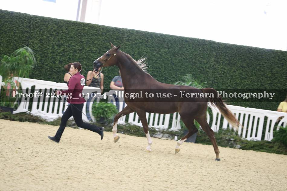 Proof 22R13_04074