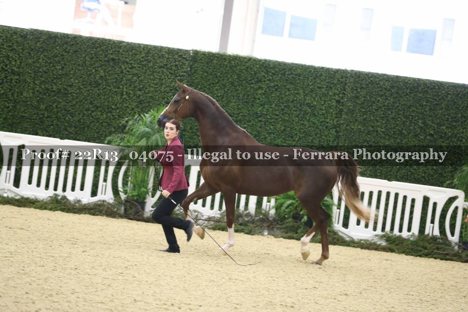 Proof 22R13_04075