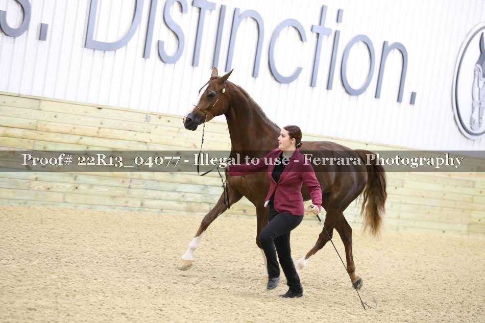 Proof 22R13_04077