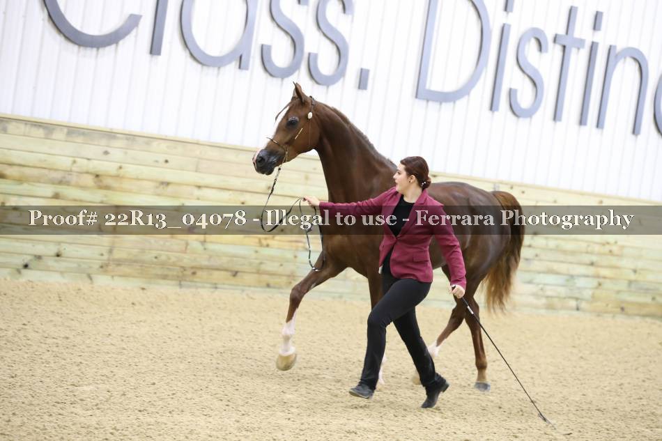 Proof 22R13_04078
