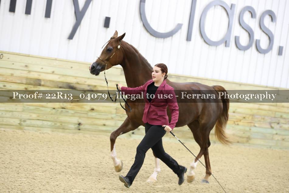 Proof 22R13_04079