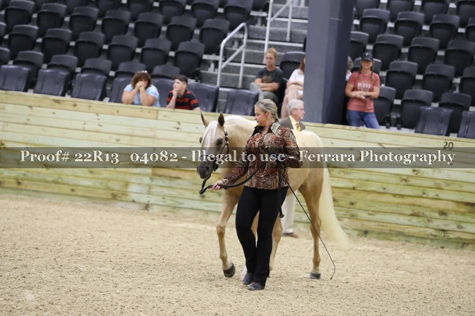 Proof 22R13_04082