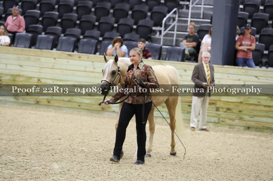 Proof 22R13_04083
