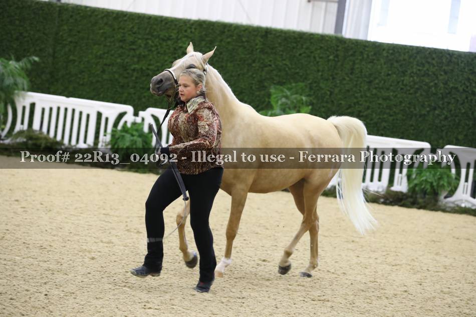 Proof 22R13_04092