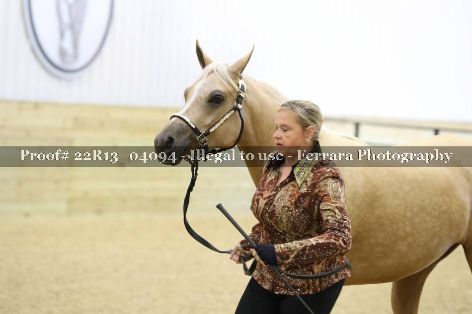 Proof 22R13_04094