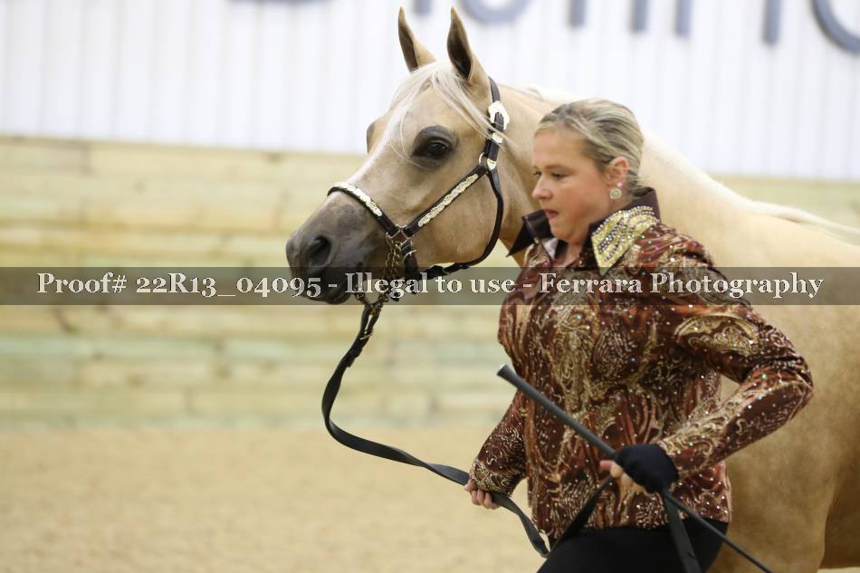 Proof 22R13_04095