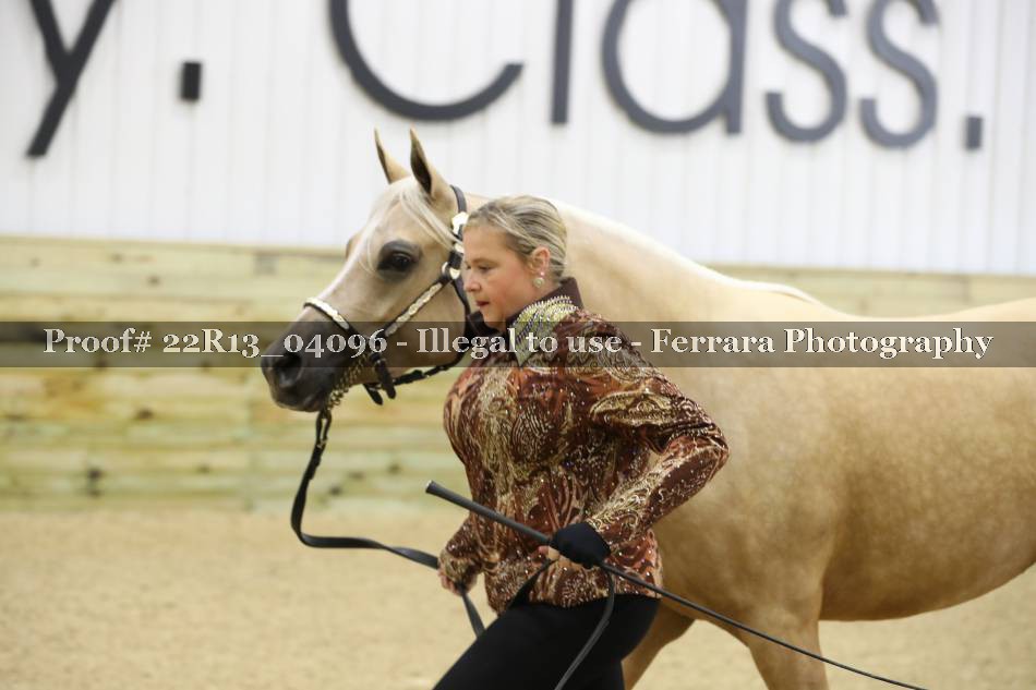 Proof 22R13_04096