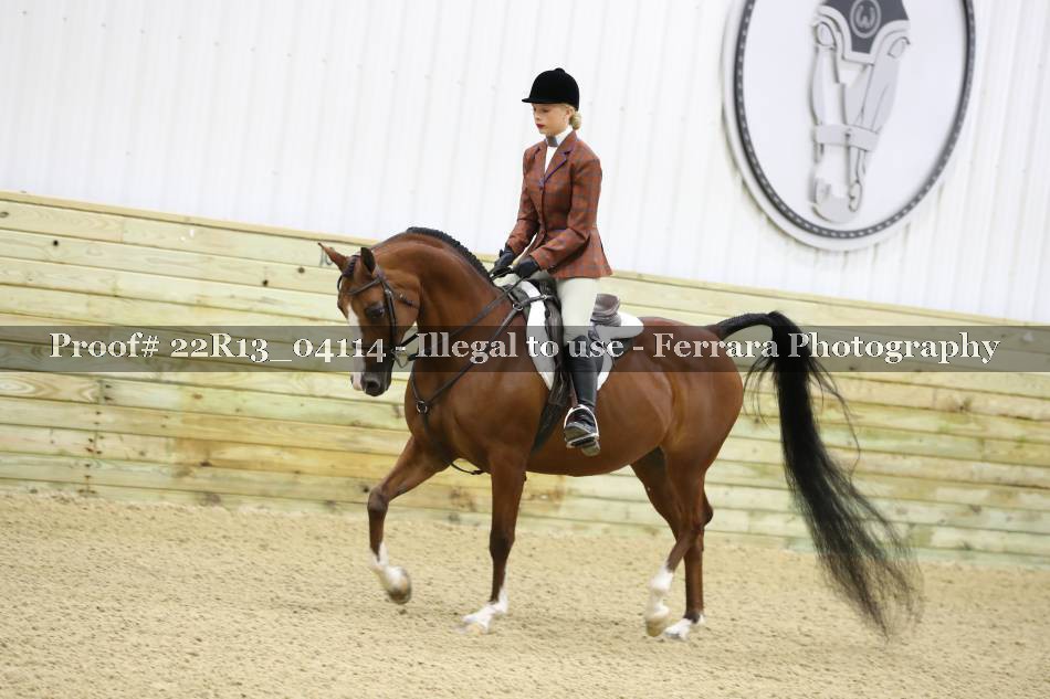 Proof 22R13_04114