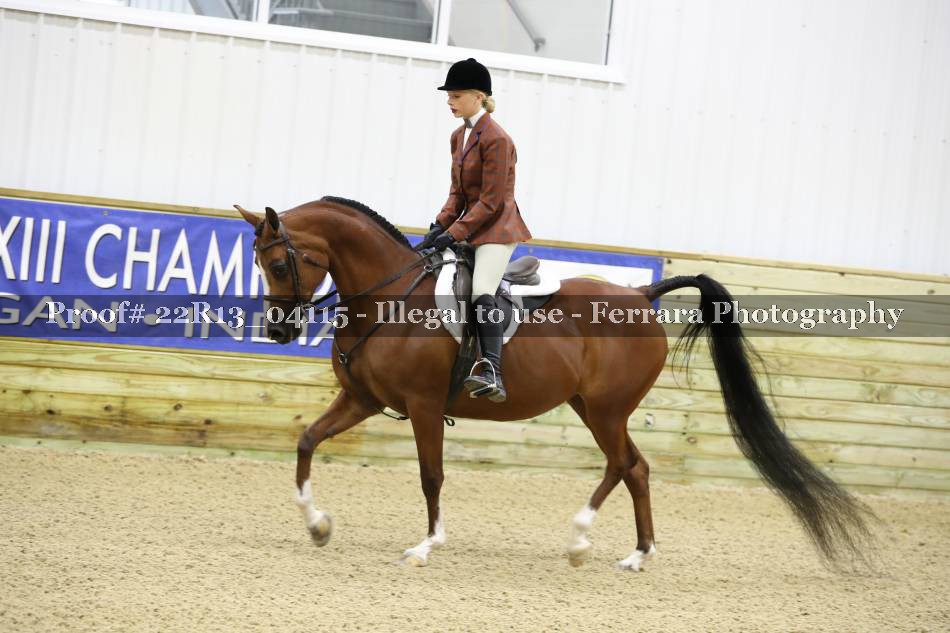 Proof 22R13_04115