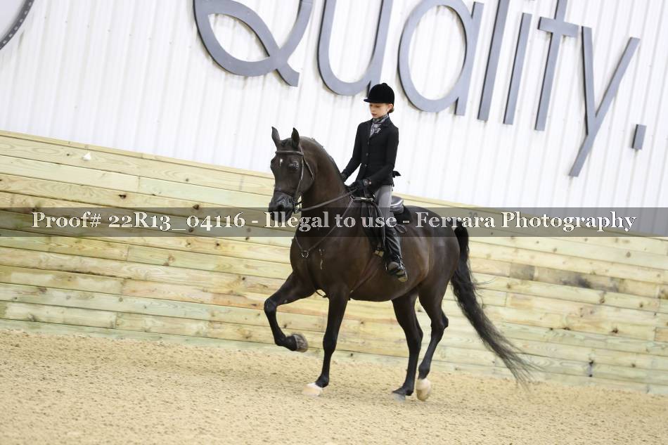 Proof 22R13_04116