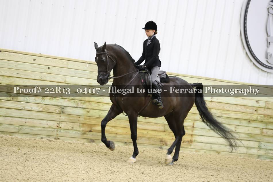 Proof 22R13_04117