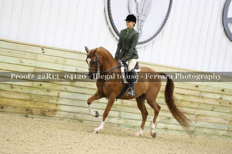 Proof 22R13_04120