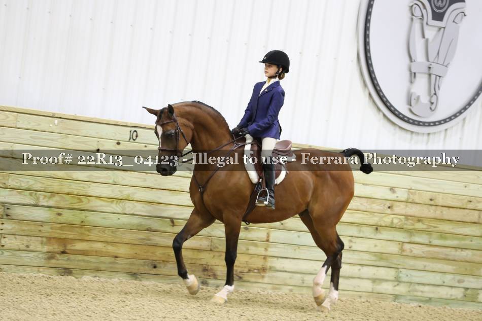 Proof 22R13_04123