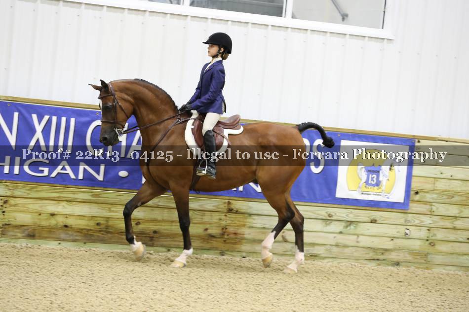 Proof 22R13_04125